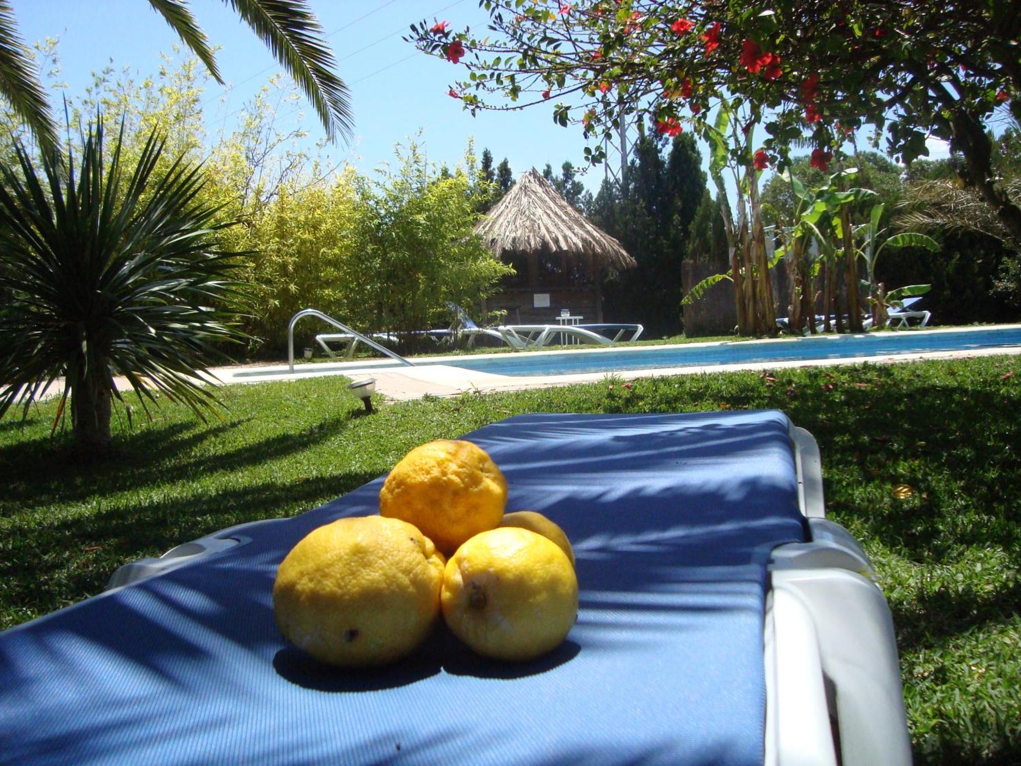 Bungalows Puravida Zahora Kültér fotó